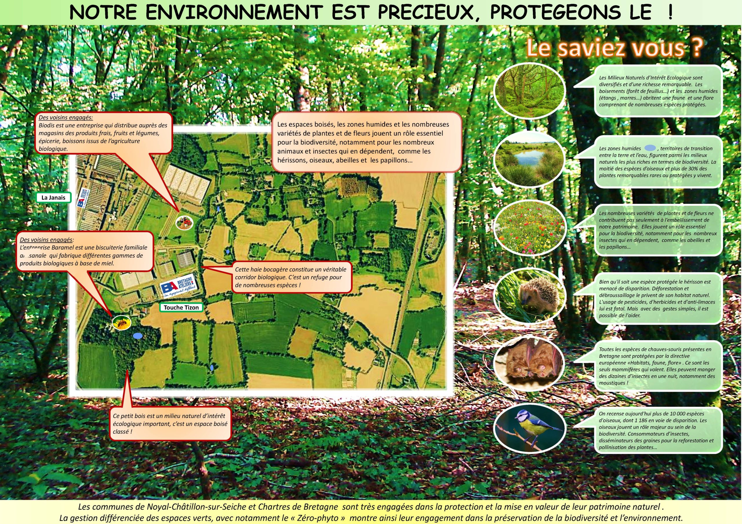 environnement nature de BA